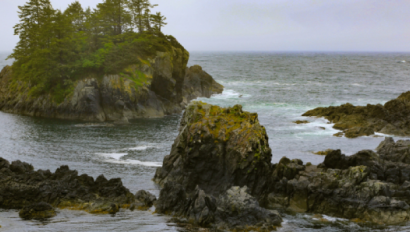 Ocean cliffs and waves.