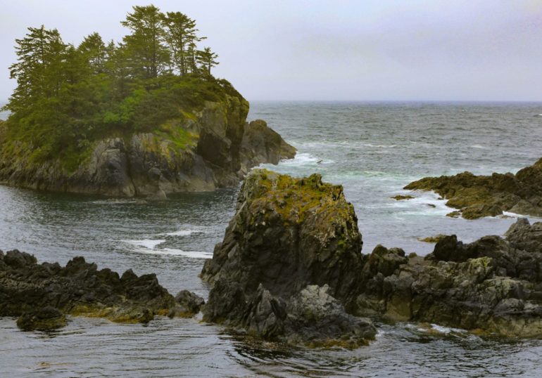 Ocean cliffs and waves.