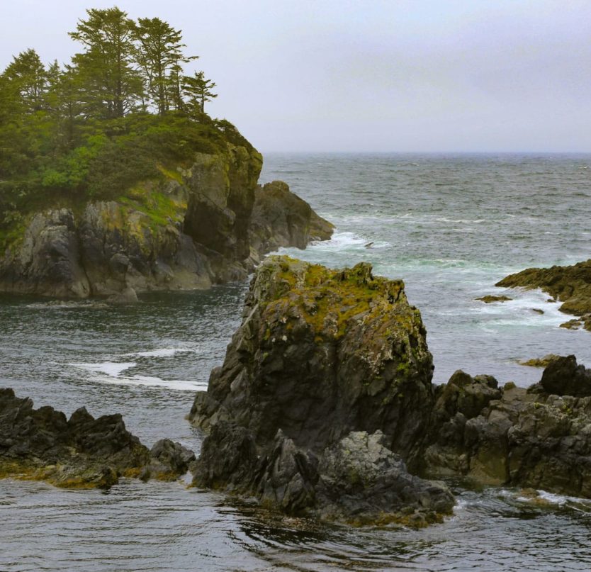 Ocean cliffs and waves.